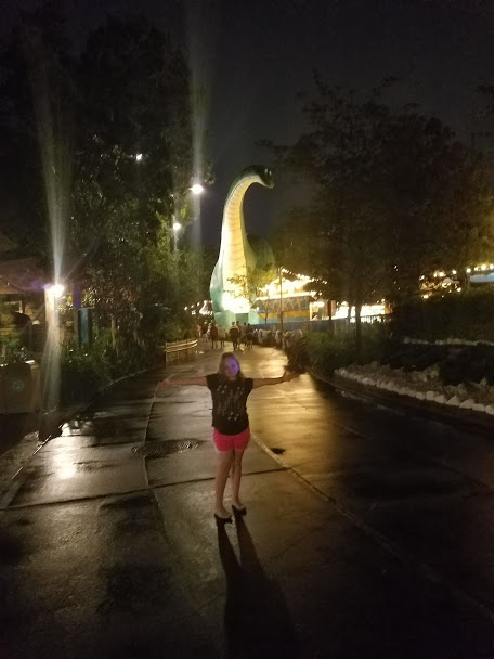 Disney After Hours at Disney's Animal Kingdom Theme Park